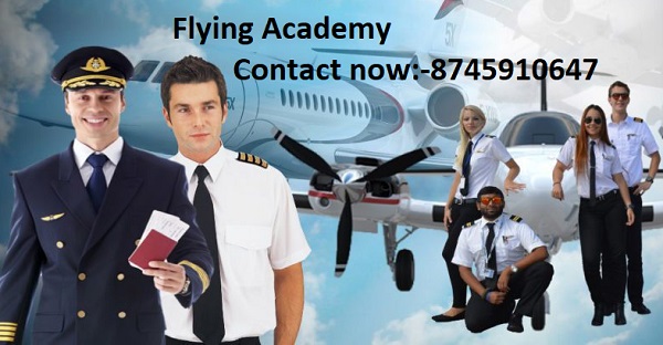 Private pilot training in Noida